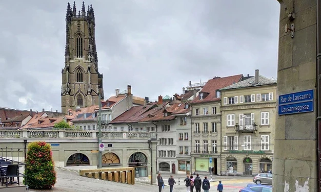 Déménagement local à Fribourg et environs​